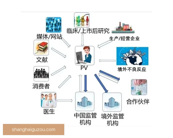 acdsee破解版风险解析与正版替代方案全面指南使用体验评估报告